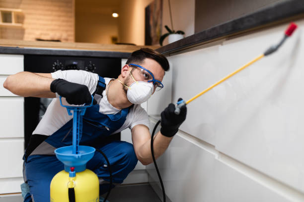 Pest Prevention Services in Melbourne, FL