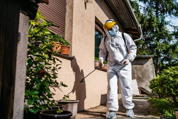 Best Pest Removal Services  in Melbourne, FL
