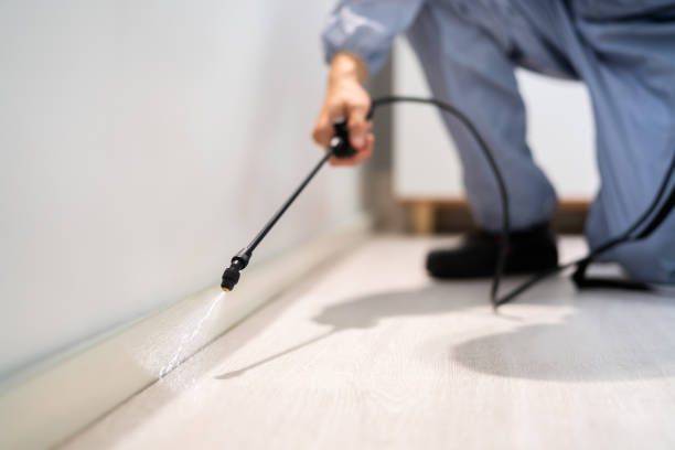 Pest Control Cost in Melbourne, FL