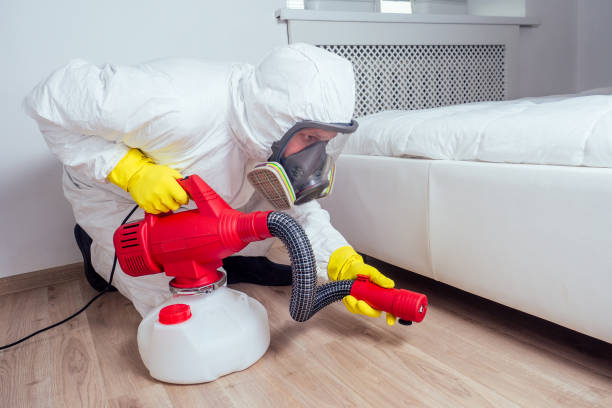 Best Termite Control Services  in Melbourne, FL