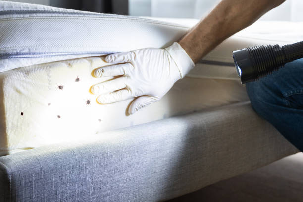 Best Affordable Pest Control Services  in Melbourne, FL