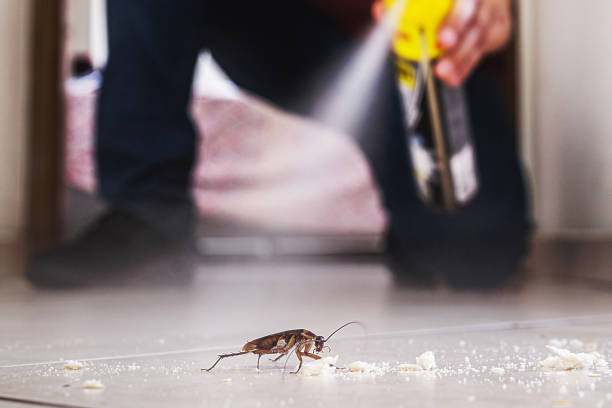 Best Residential Pest Control  in Melbourne, FL