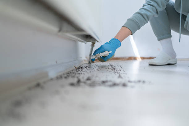 Best Pest Control Near Me in Melbourne, FL