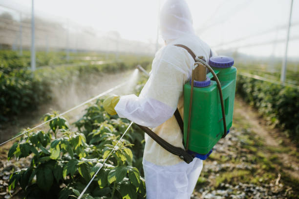 Best Rat Extermination Near Me  in Melbourne, FL
